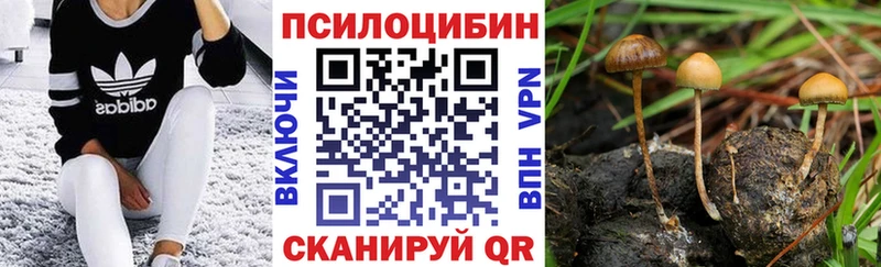 Галлюциногенные грибы Psilocybe  Новая Усмань 