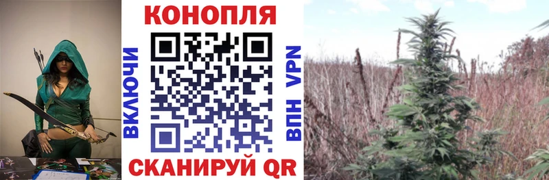 купить наркотики цена  Новая Усмань  Канабис планчик 